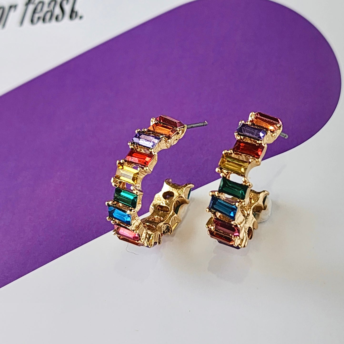 The Cleo Hoop Earrings