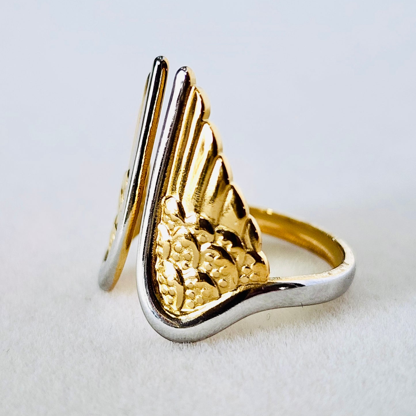 Wings of an angel